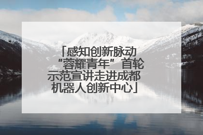 感知创新脉动 “蓉耀青年”首轮示范宣讲走进成都机器人创新中心
