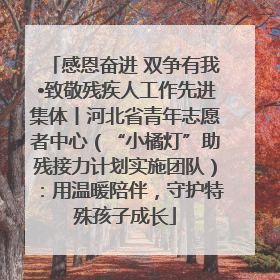 感恩奋进 双争有我•致敬残疾人工作先进集体丨河北省青年志愿者中心（“小橘灯”助残接力计划实施团队）：用温暖陪伴，守护特殊孩子成长