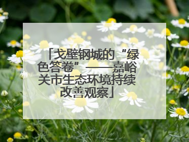 戈壁钢城的“绿色答卷”——嘉峪关市生态环境持续改善观察