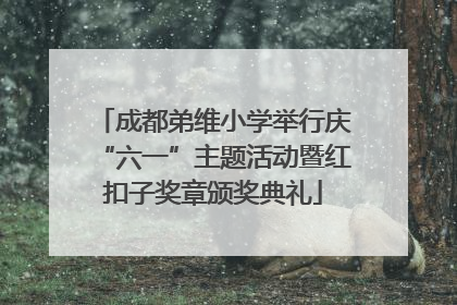 成都弟维小学举行庆“六一”主题活动暨红扣子奖章颁奖典礼