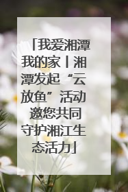 我爱湘潭我的家丨湘潭发起“云放鱼”活动 邀您共同守护湘江生态活力