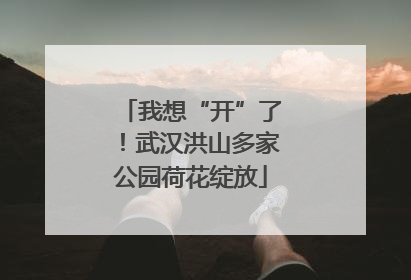 我想“开”了！武汉洪山多家公园荷花绽放