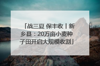 战三夏 保丰收丨新乡县：20万亩小麦种子田开启大规模收割