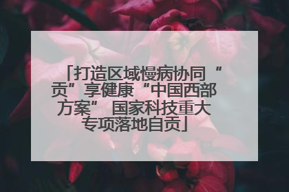 打造区域慢病协同“贡”享健康“中国西部方案” 国家科技重大专项落地自贡