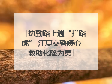 执勤路上遇“拦路虎” 江夏交警暖心救助化险为夷