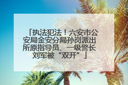 执法犯法！六安市公安局金安分局孙岗派出所原指导员、一级警长刘军被“双开”