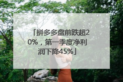 拼多多盘前跌超20%，第一季度净利润下降45%
