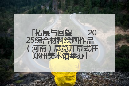 拓展与回望——2025综合材料绘画作品（河南）展览开幕式在郑州美术馆举办