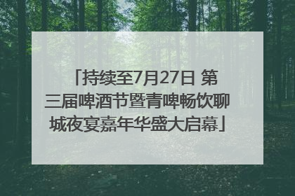 持续至7月27日 第三届啤酒节暨青啤畅饮聊城夜宴嘉年华盛大启幕