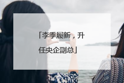 李季履新，升任央企副总