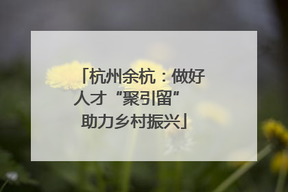 杭州余杭：做好人才“聚引留” 助力乡村振兴