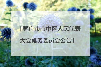 枣庄市市中区人民代表大会常务委员会公告