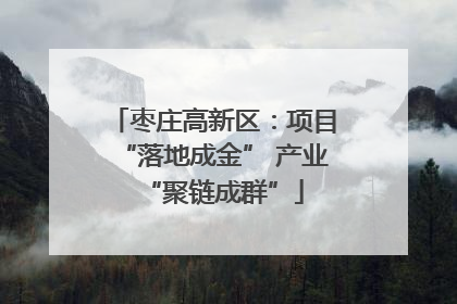 枣庄高新区：项目“落地成金” 产业“聚链成群”