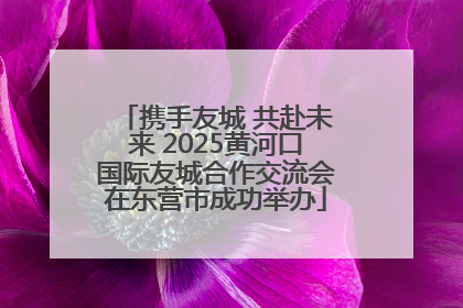 携手友城 共赴未来 2025黄河口国际友城合作交流会在东营市成功举办