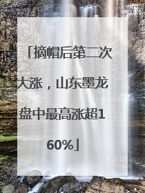 摘帽后第二次大涨，山东墨龙盘中最高涨超160%