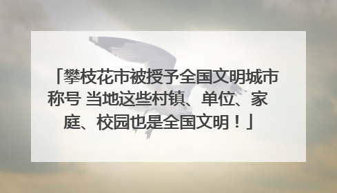攀枝花市被授予全国文明城市称号 当地这些村镇、单位、家庭、校园也是全国文明！