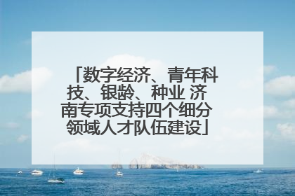 数字经济、青年科技、银龄、种业 济南专项支持四个细分领域人才队伍建设
