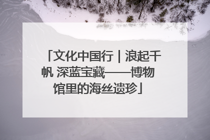 文化中国行｜浪起千帆 深蓝宝藏——博物馆里的海丝遗珍