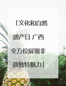 文化和自然遗产日 广西全方位展现非遗独特魅力