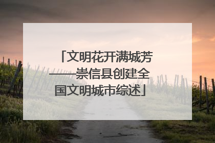 文明花开满城芳——崇信县创建全国文明城市综述