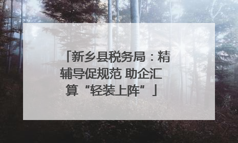 新乡县税务局：精辅导促规范 助企汇算“轻装上阵”