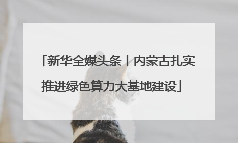 新华全媒头条丨内蒙古扎实推进绿色算力大基地建设