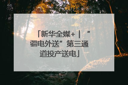 新华全媒+｜“疆电外送”第三通道投产送电