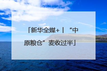 新华全媒+丨“中原粮仓”麦收过半