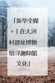 新华全媒+丨在大河村遗址博物馆寻溯仰韶文化