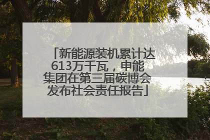 新能源装机累计达613万千瓦，申能集团在第三届碳博会发布社会责任报告