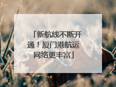 新航线不断开通！厦门港航运网络更丰富