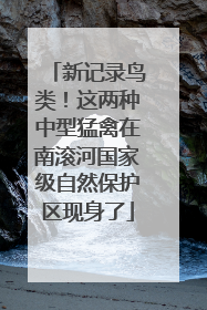新记录鸟类！这两种中型猛禽在南滚河国家级自然保护区现身了