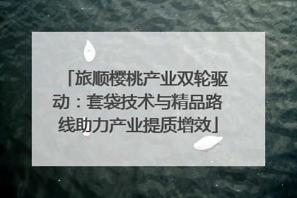 旅顺樱桃产业双轮驱动：套袋技术与精品路线助力产业提质增效