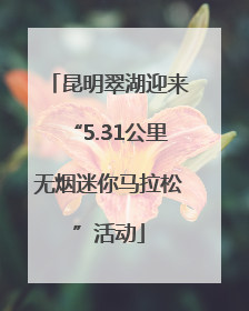 昆明翠湖迎来“5.31公里无烟迷你马拉松”活动