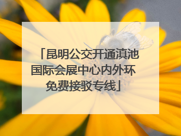 昆明公交开通滇池国际会展中心内外环免费接驳专线