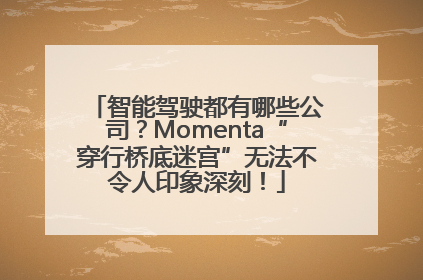 智能驾驶都有哪些公司？Momenta“穿行桥底迷宫”无法不令人印象深刻！