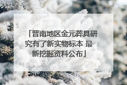 晋南地区金元葬具研究有了新实物标本 最新挖掘资料公布