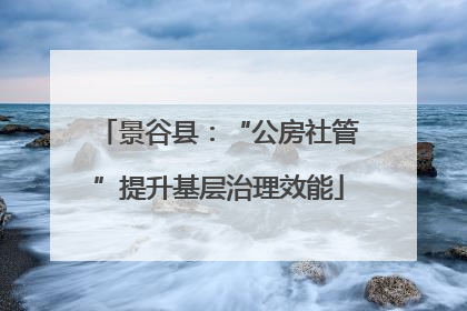 景谷县：“公房社管”提升基层治理效能