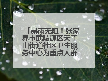 暴雨无阻！张家界市武陵源区天子山街道社区卫生服务中心为重点人群送健康