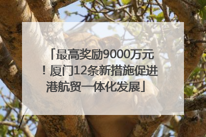 最高奖励9000万元！厦门12条新措施促进港航贸一体化发展