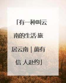 有一种叫云南的生活·旅居云南｜菌有信 人赴约