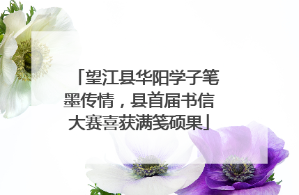 望江县华阳学子笔墨传情，县首届书信大赛喜获满笺硕果
