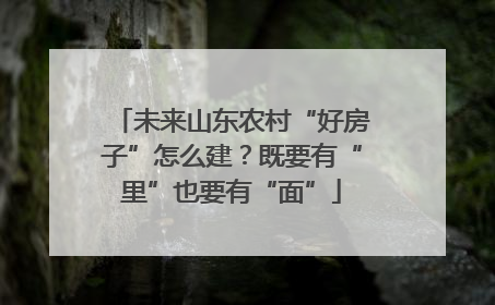 未来山东农村“好房子”怎么建？既要有“里”也要有“面”