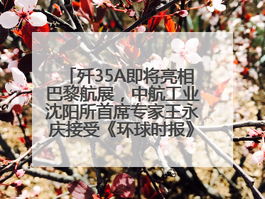 歼35A即将亮相巴黎航展，中航工业沈阳所首席专家王永庆接受《环球时报》专访：未来数量可以有很多