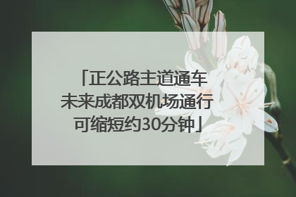 正公路主道通车 未来成都双机场通行可缩短约30分钟