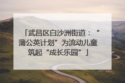 武昌区白沙洲街道：“蒲公英计划”为流动儿童筑起“成长乐园”