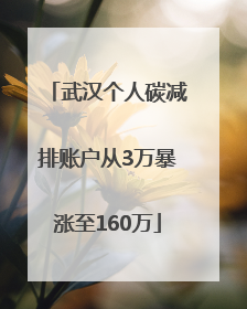 武汉个人碳减排账户从3万暴涨至160万