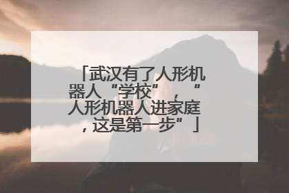 武汉有了人形机器人“学校”，“人形机器人进家庭，这是第一步”