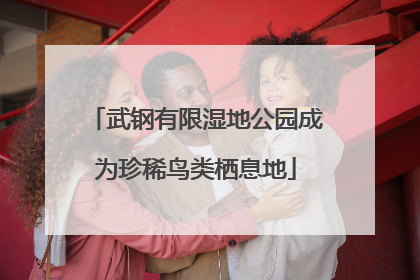 武钢有限湿地公园成为珍稀鸟类栖息地