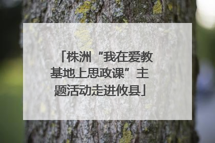 株洲“我在爱教基地上思政课”主题活动走进攸县